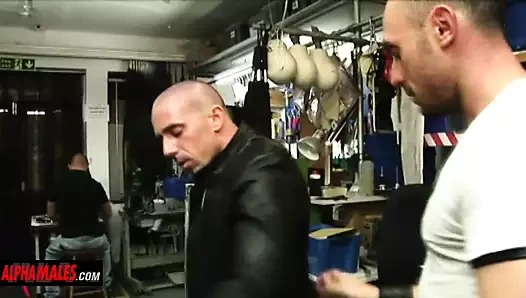 Alphamales.com - eşcinsel deri dükkanı üçlü