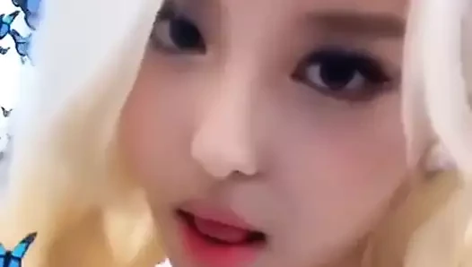 momoland'ın yerleşik cum çöplüğüne yol aç, ahin