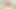 Azgın tinder genç kız biniyor ve büyük yarakla dölleniyor - amatör çift bakış açısı
