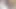 Seksi lexi yayılır mükemmel kıllı kedi parmak büyük çalı