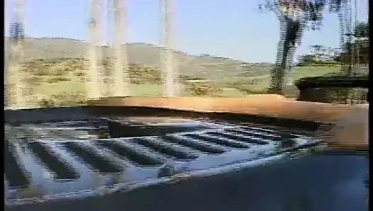 Jake steed vs genç abanoz kedi haraç