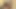 Ateşli ve seksi genç lezbiyenler birbirlerinin amını yalıyor
