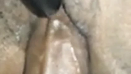 Büyük çük Başlarken kedi