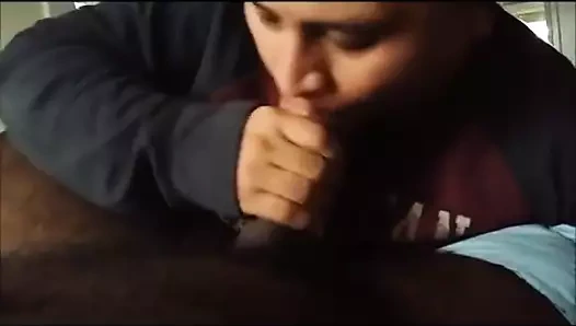 Gordinho de boca no cogumelo do sol