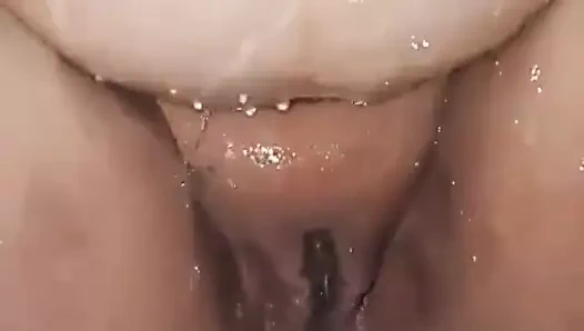 Kalba merabrba betsawer la7mha el negs lazopery