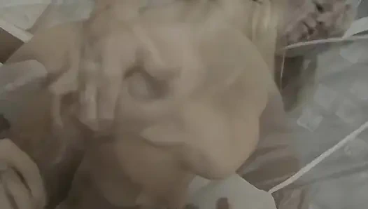 Genç Sürtük Banyoda Büyük Bir Yarak Alıyor