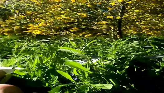 en sevdiğim göğüsler