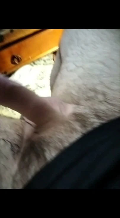 Sert yarrak zıplıyor!