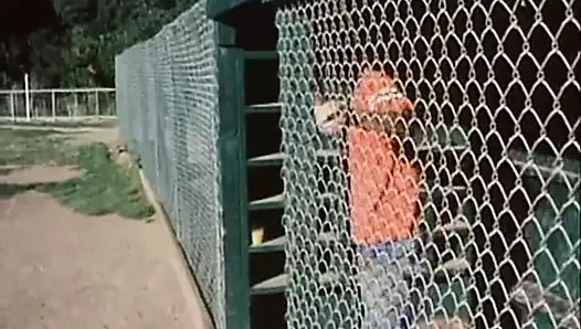 Saklanacak bir şey yok (1981)