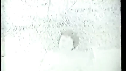 Vintage video gösterileri sıcak esmer Başlarken ona kedi becerdin açık havada