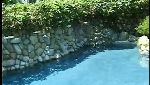 Horoz emme ve kahrolası içinde the havuz