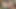 İri güzel kadın domme Sydney çığlık atarak sikiyor