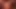 dandjsex