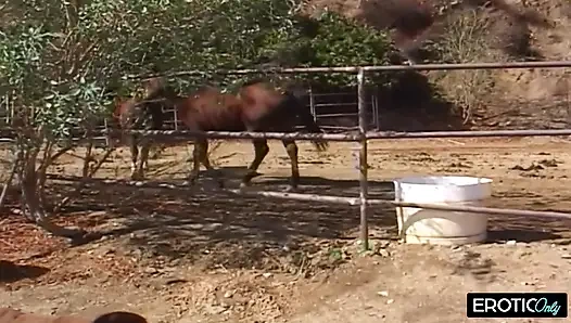 Sınırsız Karşılaşmalar