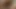 Cockriding milf Assfucked tarafından bir dev horoz