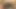 Desi hauswaif soni bhabhi ki chudayi Desi girl faking soni bhabhi ji ki chikh nikal gaya devar ne bhabhi ko ghodi bana ke choda