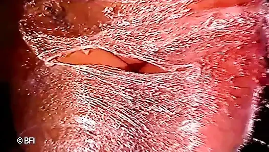 İtaatkar olgun evli kadın için rüya.