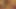 Muhteşem xan seksi striptiz yapıyor