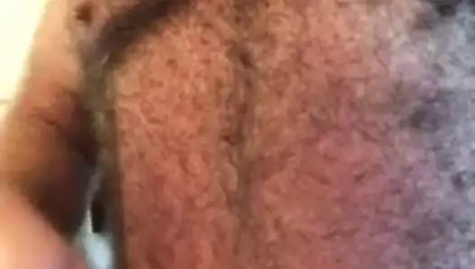 Sakallı kıllı kıdemli gümüş ayı kalın gri kürkünü tarıyor