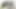 piggy und porki.avi