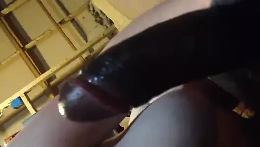 benim küçük kar tavşanım