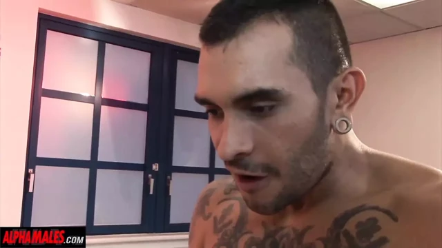 Alphamales.com - seksi latin adam
