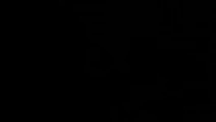 la perra en la calle