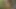 Büyük memeli ve kıllı amcıklı seksi genç kız açık havada fışkırtıyor