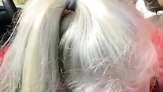 Ateşli orta yaşlı seksi kadın emiyor, sikişiyor ve mastürbasyon yapıyor!