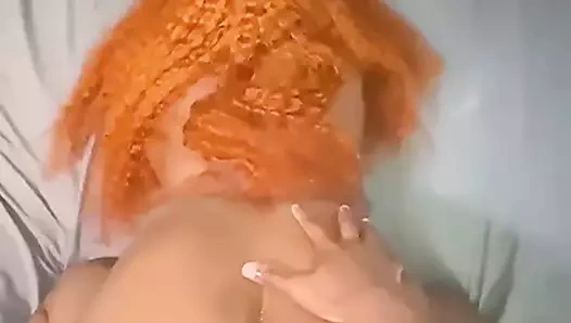 Büyük siyah horoz içinde senin kedi