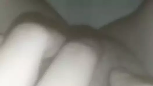 Purnima parmak içinde kedi