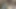 O gece üvey kız kardeşimin arkadaşıyla konuşmaları farklıydı. Ay ışığına sahip bir gece, hafif bir gülümseme...