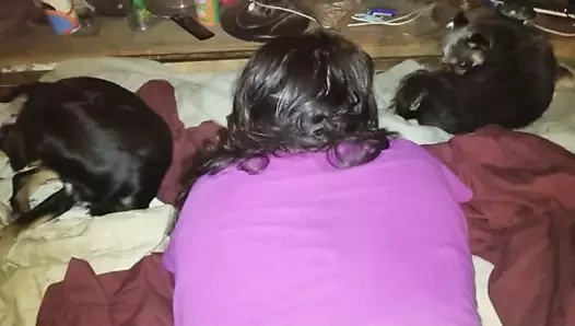 sabah 5 tonya ile hızlı