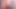 Deepthroat & Desire: Janemasqueradeporn's Sexy Blowjob Compilation - Couples Take It All