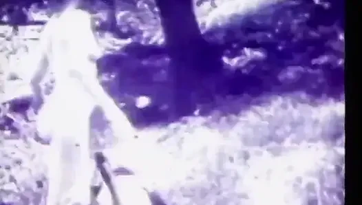 1930'larda halka açık seks