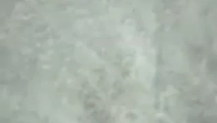 Prenses fişini çekerek