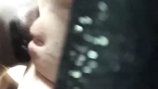 En iyi kedi yeme