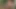 Junge Brünette masturbiert mit lila Dildo im Freien