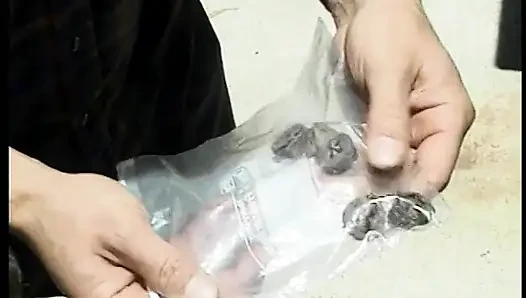 Esmer kadın açık havada sikişmeden önce amını yedirmeyi seviyor