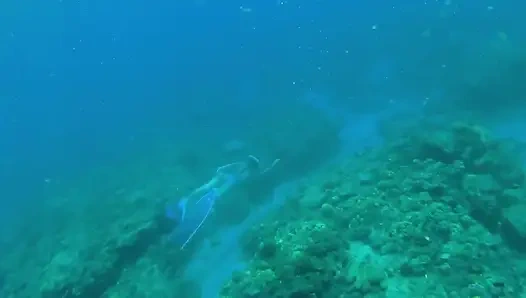 Küçük deniz kızı