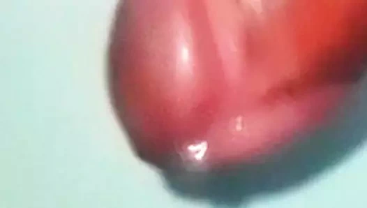 Karnaval ve büyük sperm tüküren yarağın yükselişi