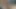 Gerçek amatör evli kadından oral seks
