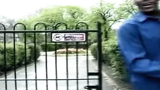Büyük Omar'ın İngiliz maceraları: büyük memeli (2001)