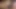 Berlin'de genç Lisa ve MILF Sandy ile Creampie toplu seks