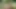 HUNT4K. Genç ve yaşlı bir adam arasında çok fazla dölle açık havada sert seks
