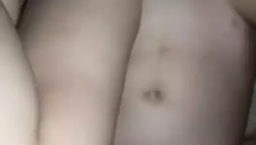 sıkı kedi