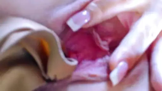 kedi içinde gizli külot