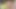 Yamanaka eğitmeni 3d hentai - frenulum yalama, özensiz sakso, sansürsüz animasyonda gırtlağına kadar boşalma