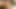 Siyah bbw masturbates kullanımları bir oyuncak üzerinde ona kedi