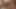Kanda yoğun bir sert üçlü seks macerası için açık porno taktiklerini ortaya çıkarıyor